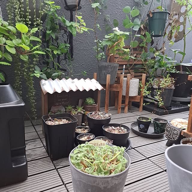 noaさんの実例写真