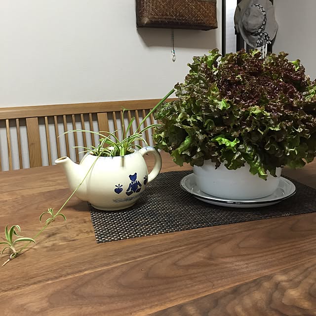 koihiさんの実例写真