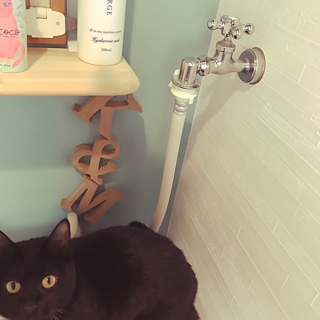 minotchyさんの実例写真