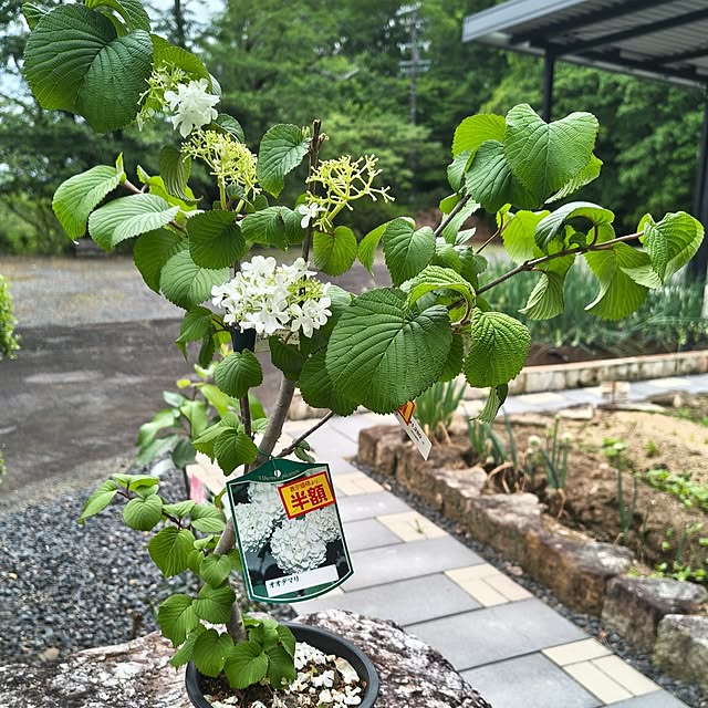 Rubiconさんの部屋