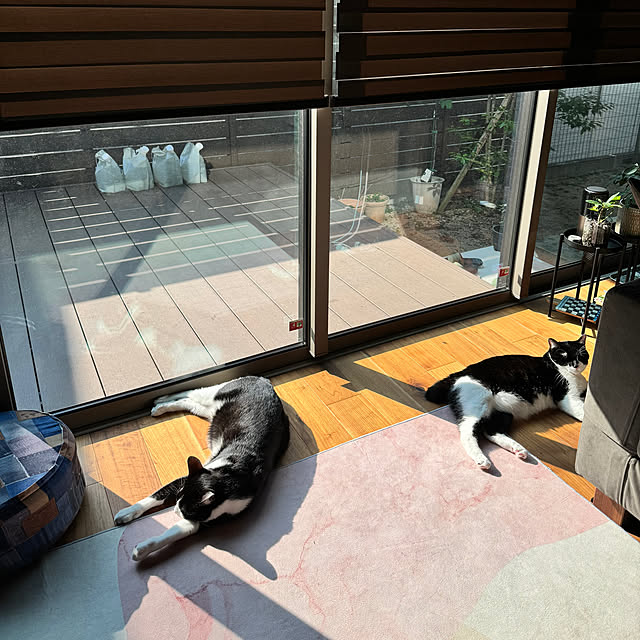 porinさんの実例写真