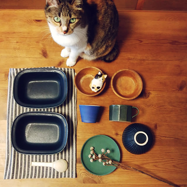 tomo1220さんの実例写真