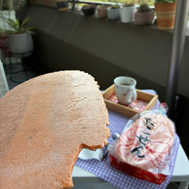 koshiregutyoさんの部屋