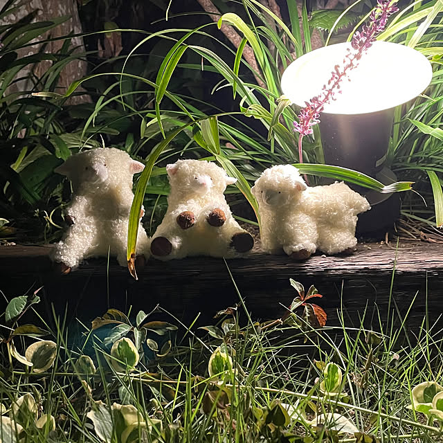 nobikoさんの実例写真