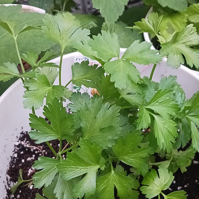 aiさんの部屋