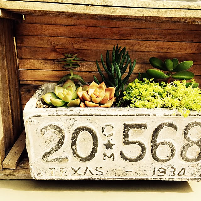 chieさんの実例写真