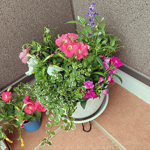 yakko1120さんの実例写真