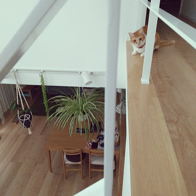 Yさんの実例写真