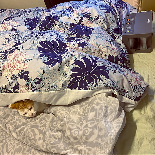 porinさんの実例写真