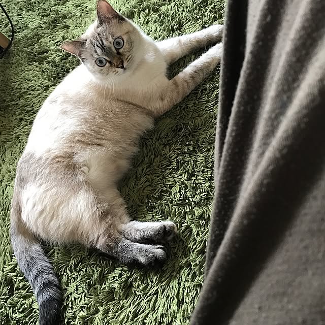 nachuさんの実例写真