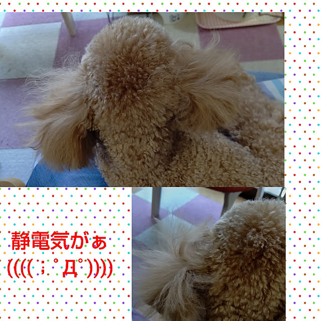 yumirinさんの実例写真