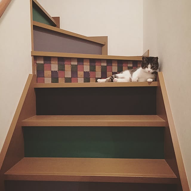 Rettiさんの実例写真