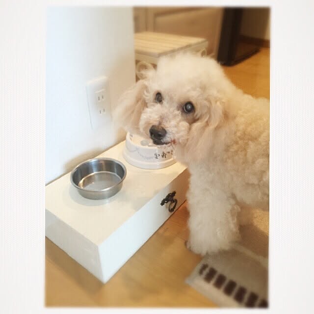 Naomiさんの実例写真