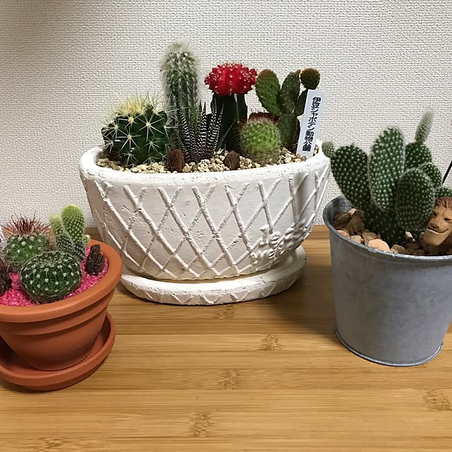 24-ykさんの実例写真
