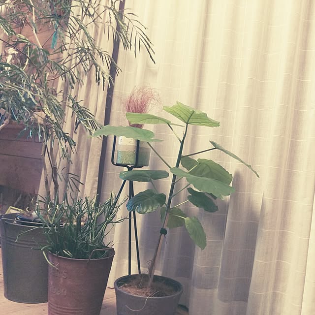 connyさんの実例写真