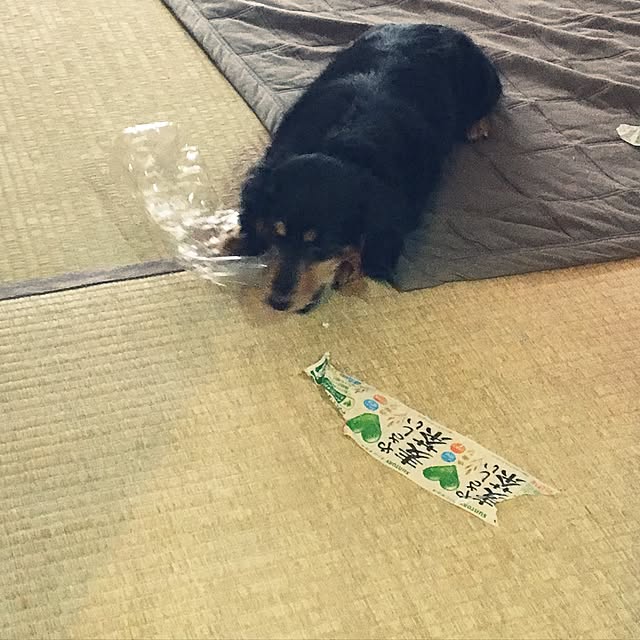 ohanaさんの実例写真