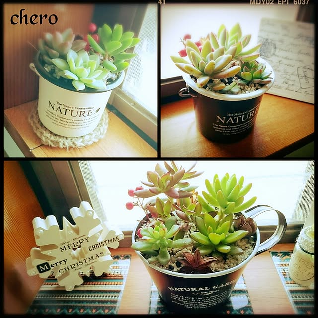 chero.さんの実例写真