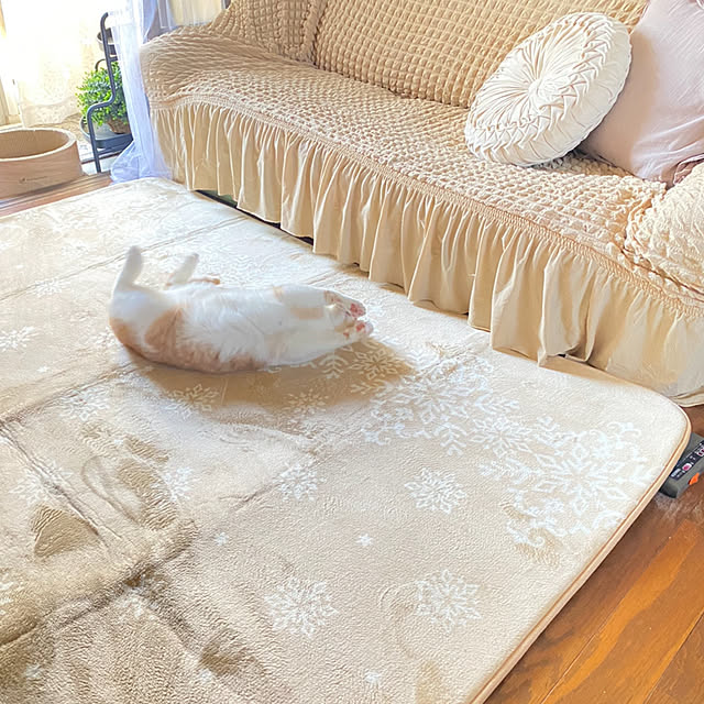 mintteaさんの部屋