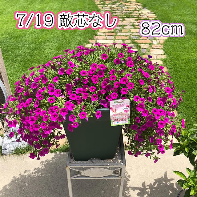 yukiminさんの実例写真