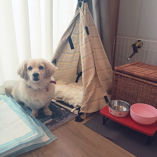 chihaさんの実例写真