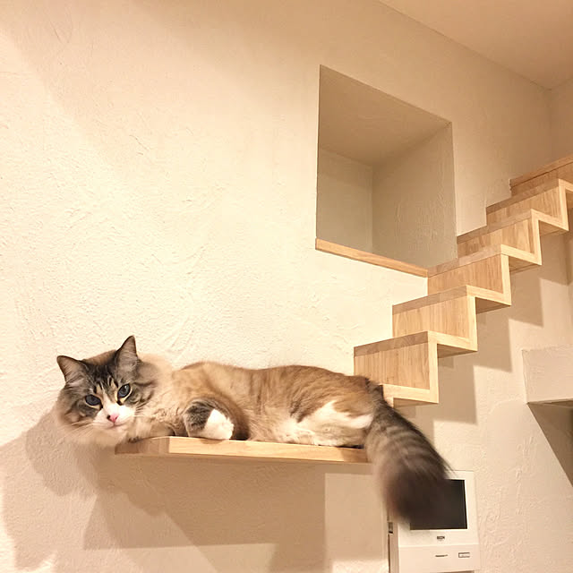masyacanonさんの実例写真