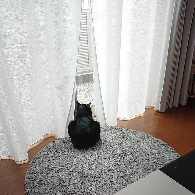 maikyさんの実例写真