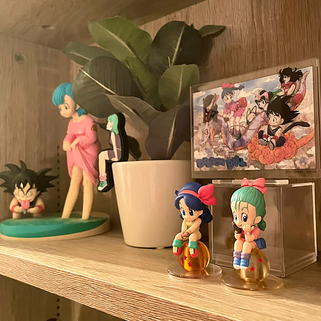 shidakaさんの実例写真