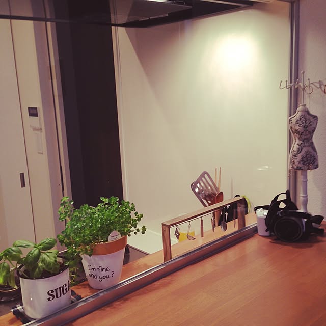 キッチン/観葉植物のインテリア実例 - 2015-06-12 19:12:41