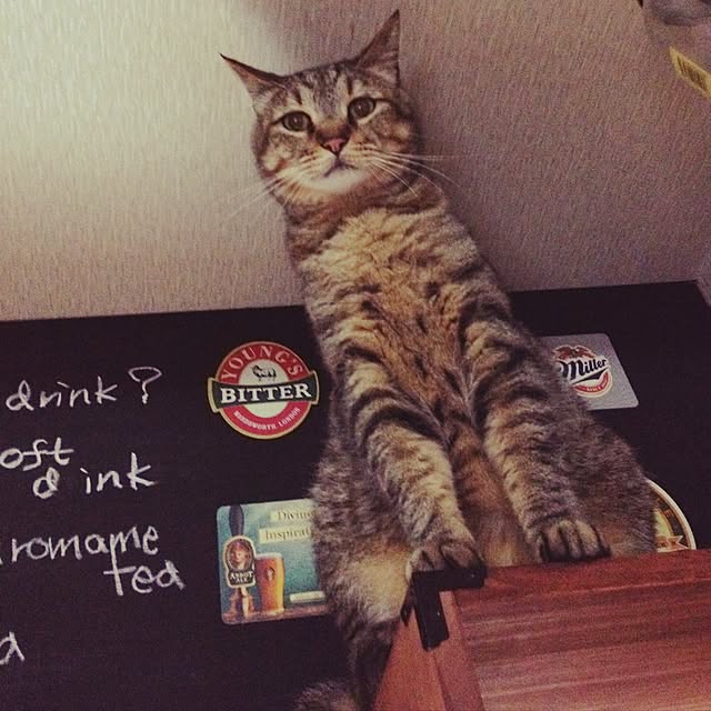 Miechamさんの実例写真