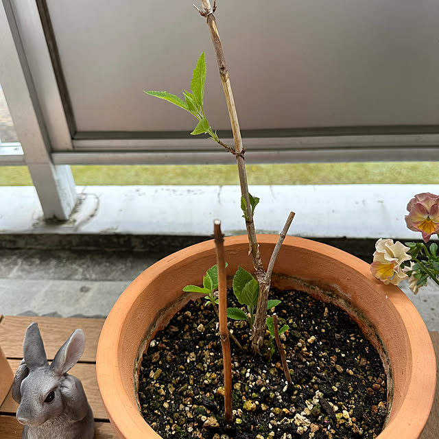 miyumiyuさんの部屋