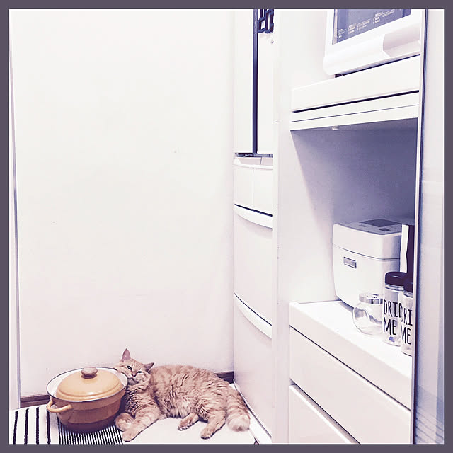 Ryokoさんの実例写真