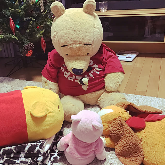 popoponopoさんの実例写真