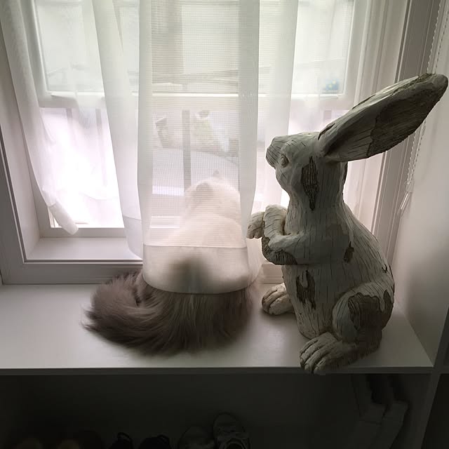 yuchiさんの実例写真