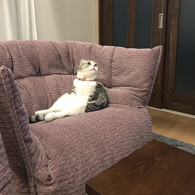 Dahliaさんの実例写真