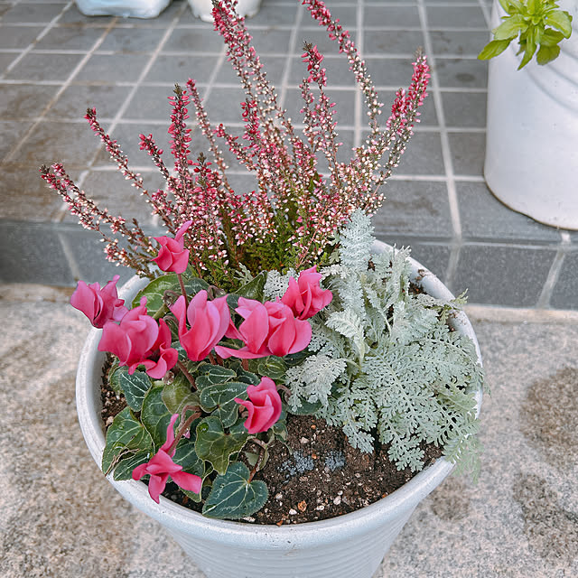 Chipさんの実例写真