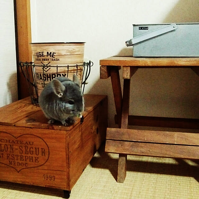 sakusakuさんの実例写真