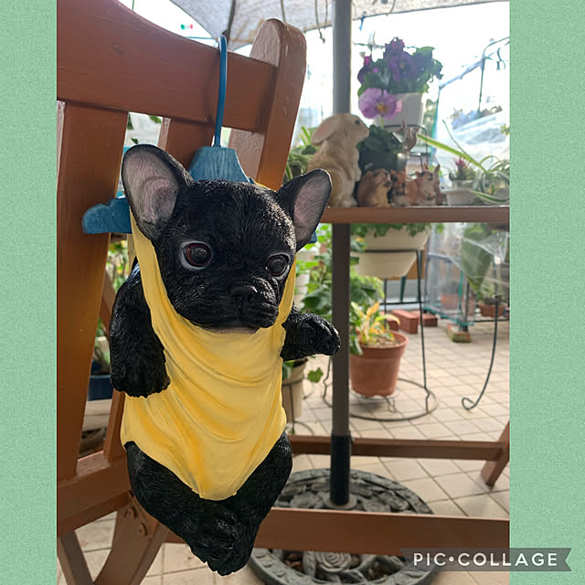 Aqettyさんの実例写真