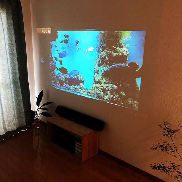 観葉植物/ルームシアター/ナチュラル/壁/天井のインテリア実例 - 2020-06-27 16:37:46