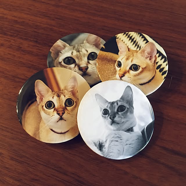 shige88さんの実例写真