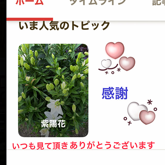 ritsukoさんの実例写真