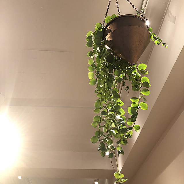pomqujackさんの実例写真