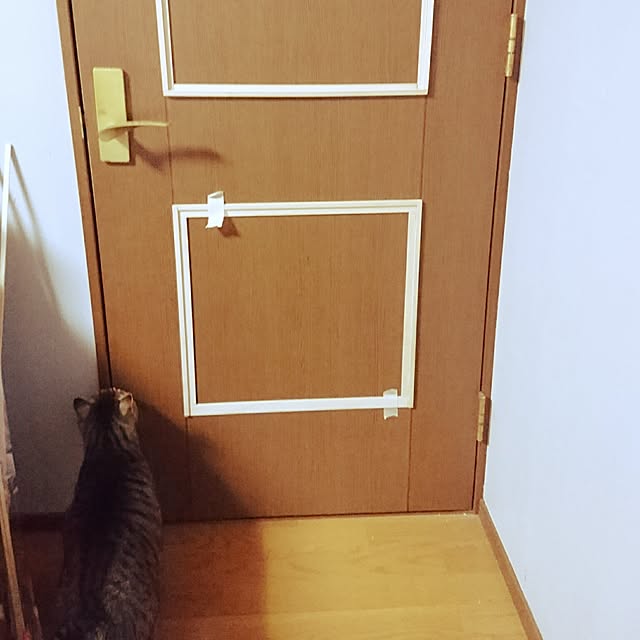 CHIBIさんの実例写真