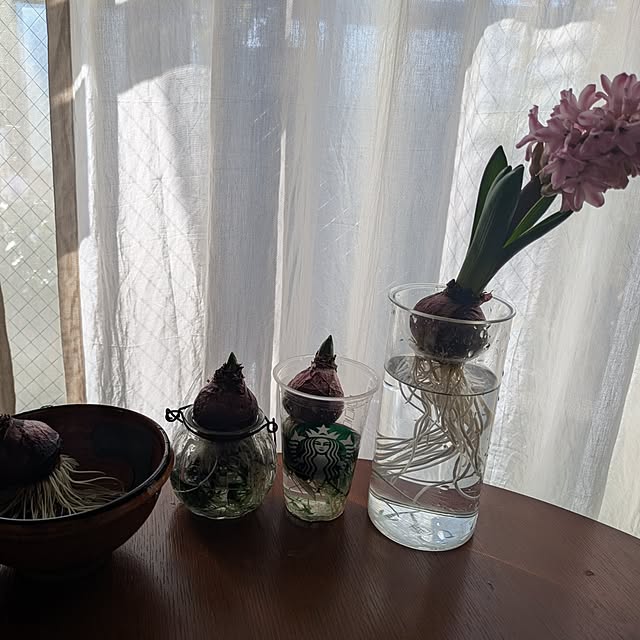 popoさんの実例写真