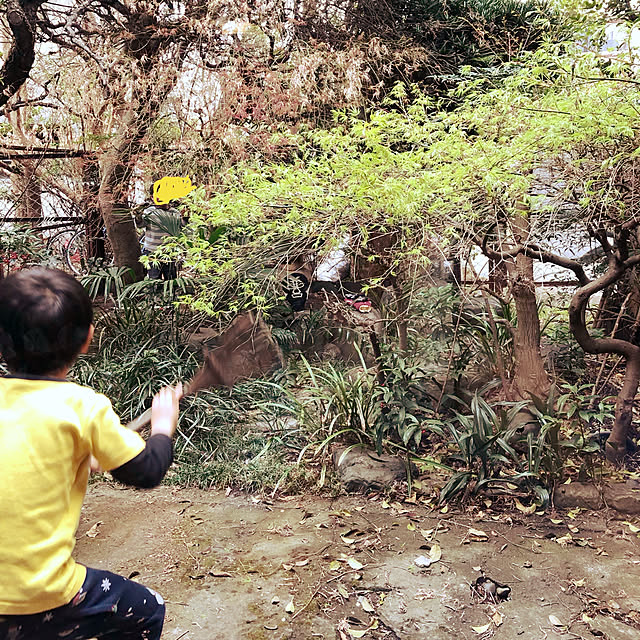 neko-2.2.2runmuさんの実例写真