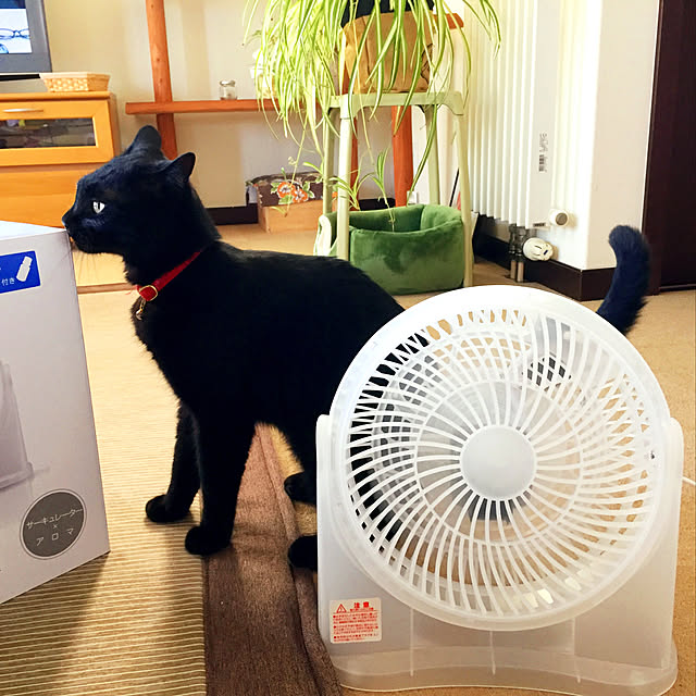 nanaさんの実例写真