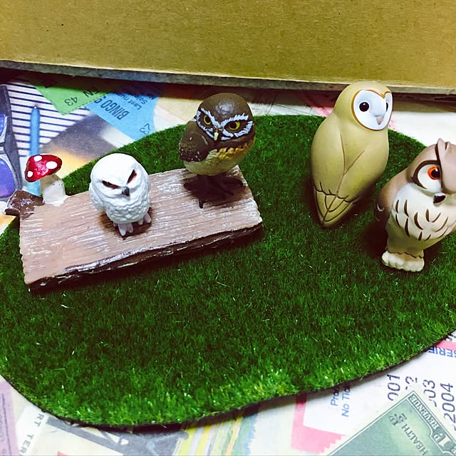 akoさんの実例写真
