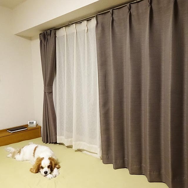 tulip0110さんの実例写真