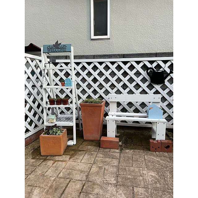 momocchiさんの実例写真