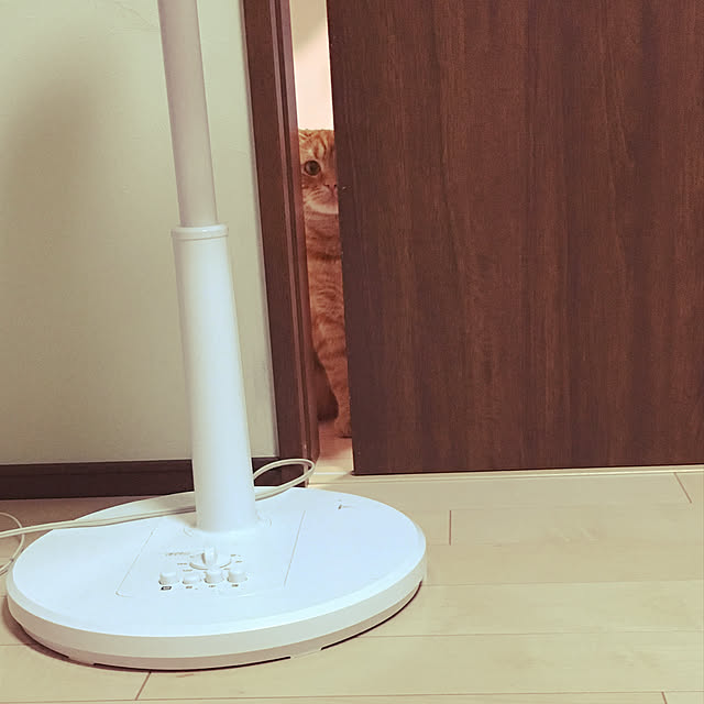 nekoさんの実例写真