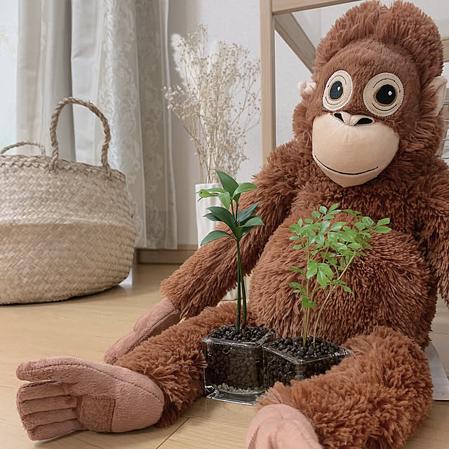 実例写真